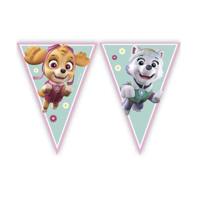 Spin Master PAW Patrol Skye & Everest Triangle Flag Banner